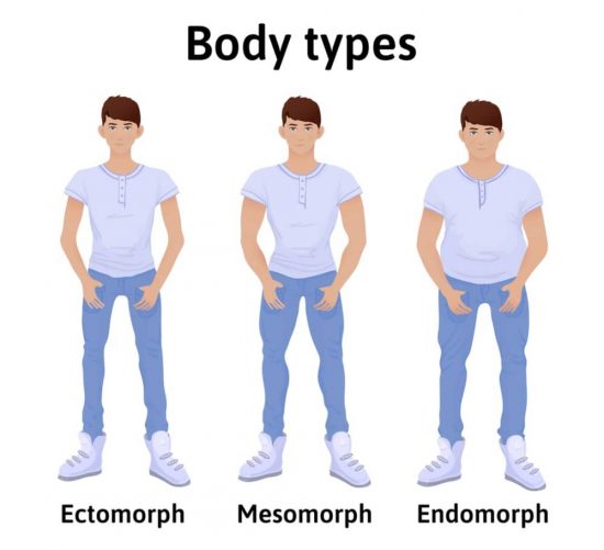 cuerpo ectomorfo